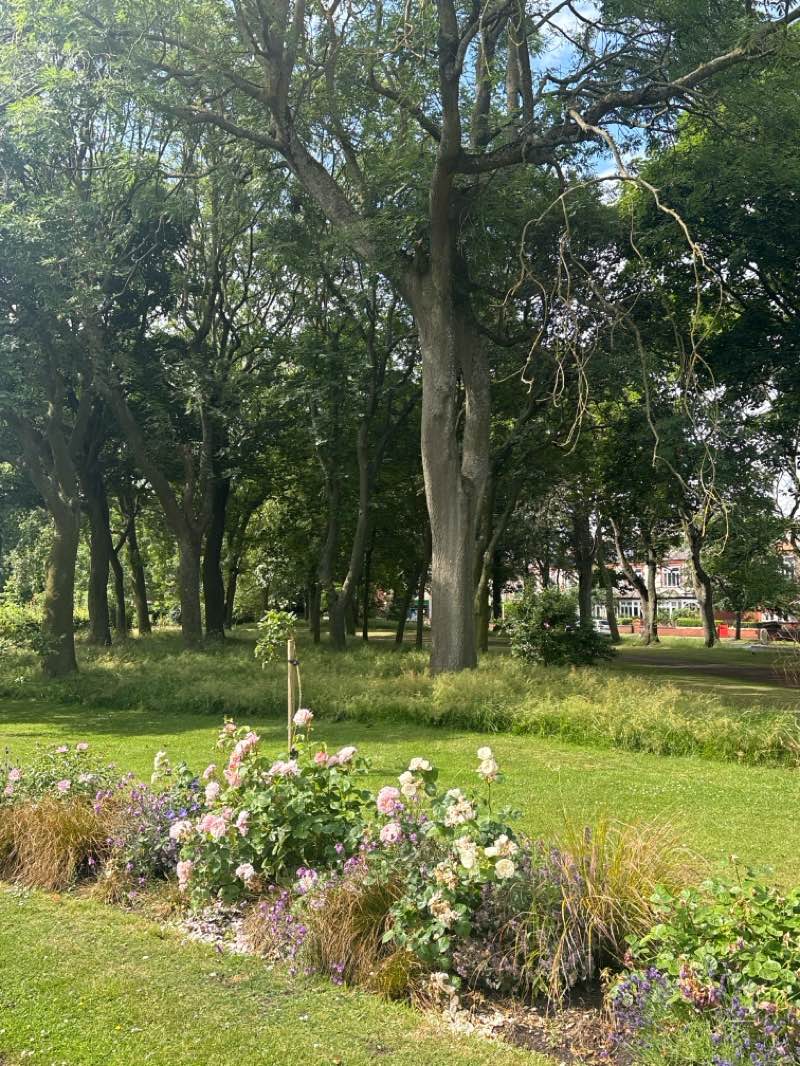 walking near me in Ridley Park in summer