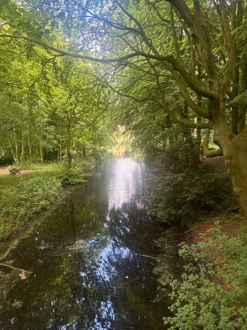 walking near me in Hardwick Park in summer
