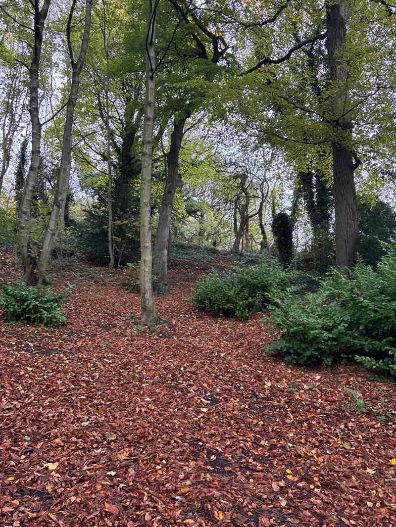 walking near me in Hall Grounds in autumn