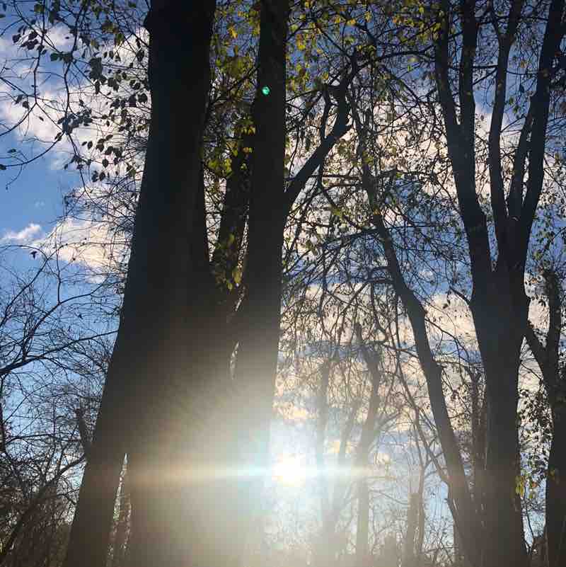 saeid_sohrabi post 1