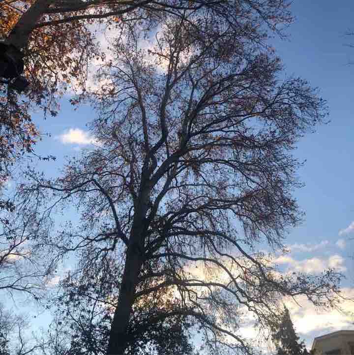 saeid_sohrabi post 2