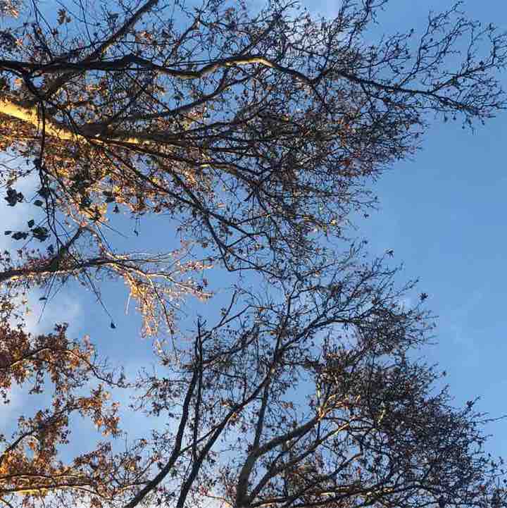 saeid_sohrabi post 3