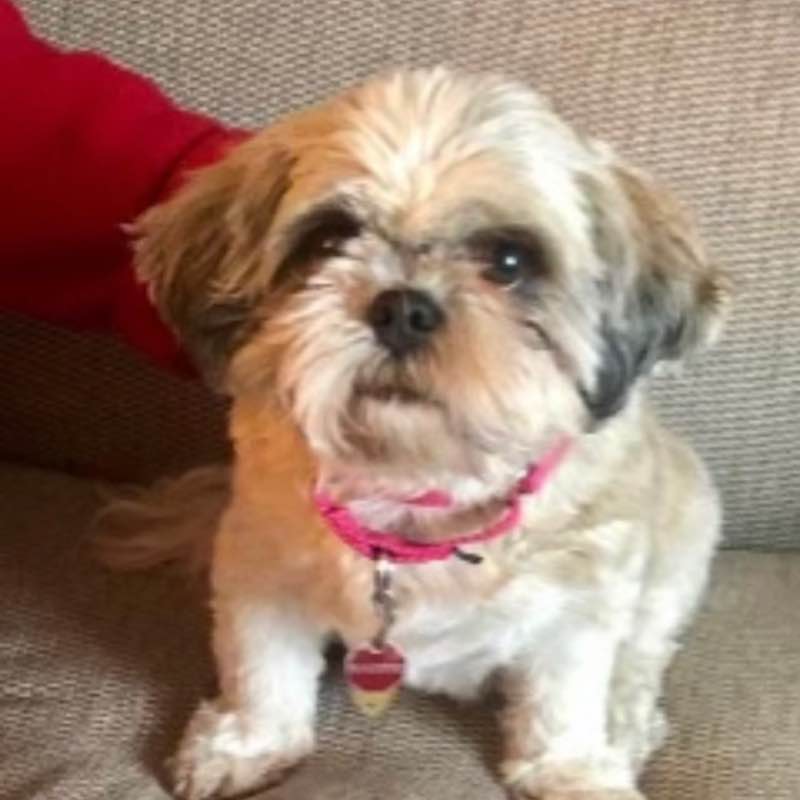 Pacer Guy 1933 post 1