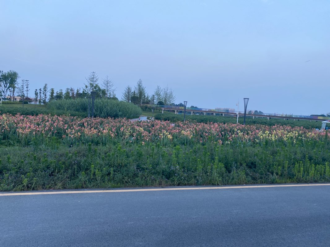 walking near me in Guixi Ecological Park in winter