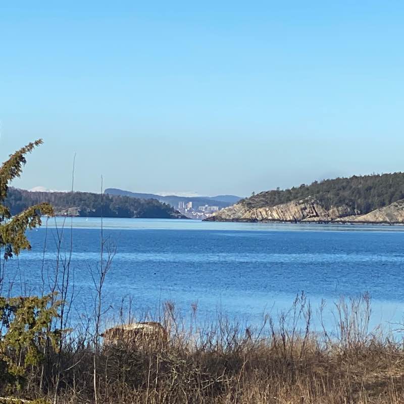 Tore Syverinsen post 3