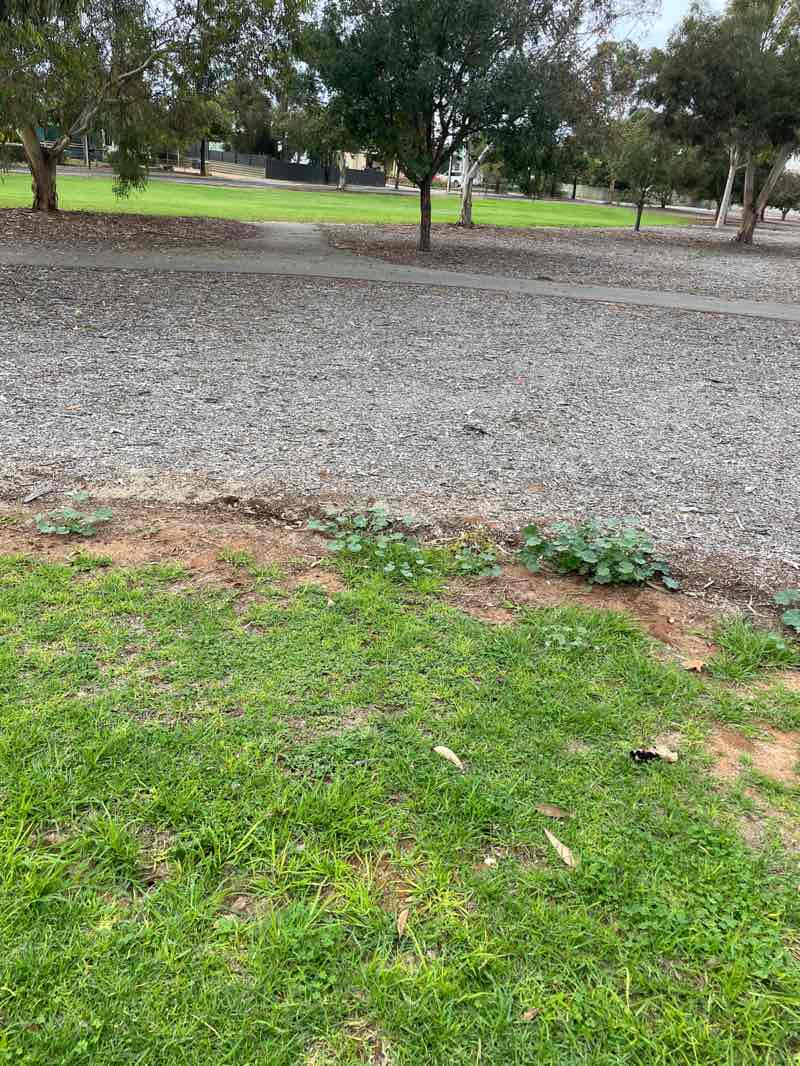 walking near me in Holden Park in winter