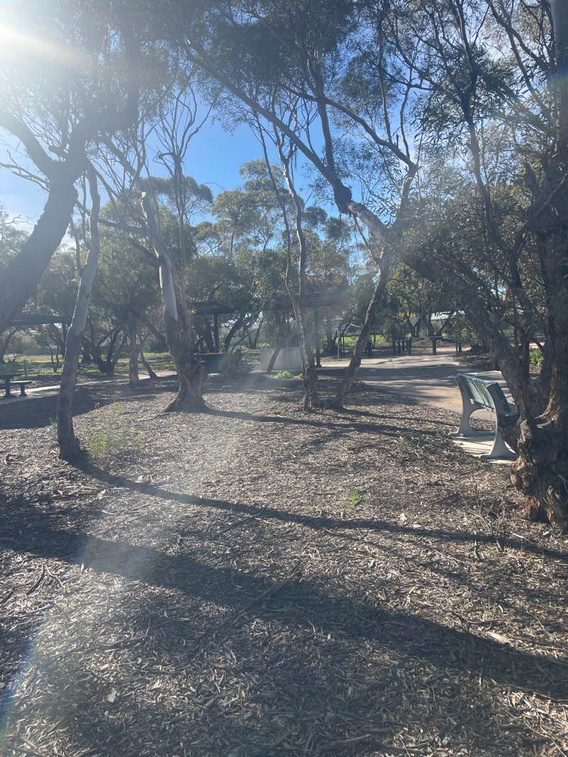 walking near me in Colin Jennings Park in winter