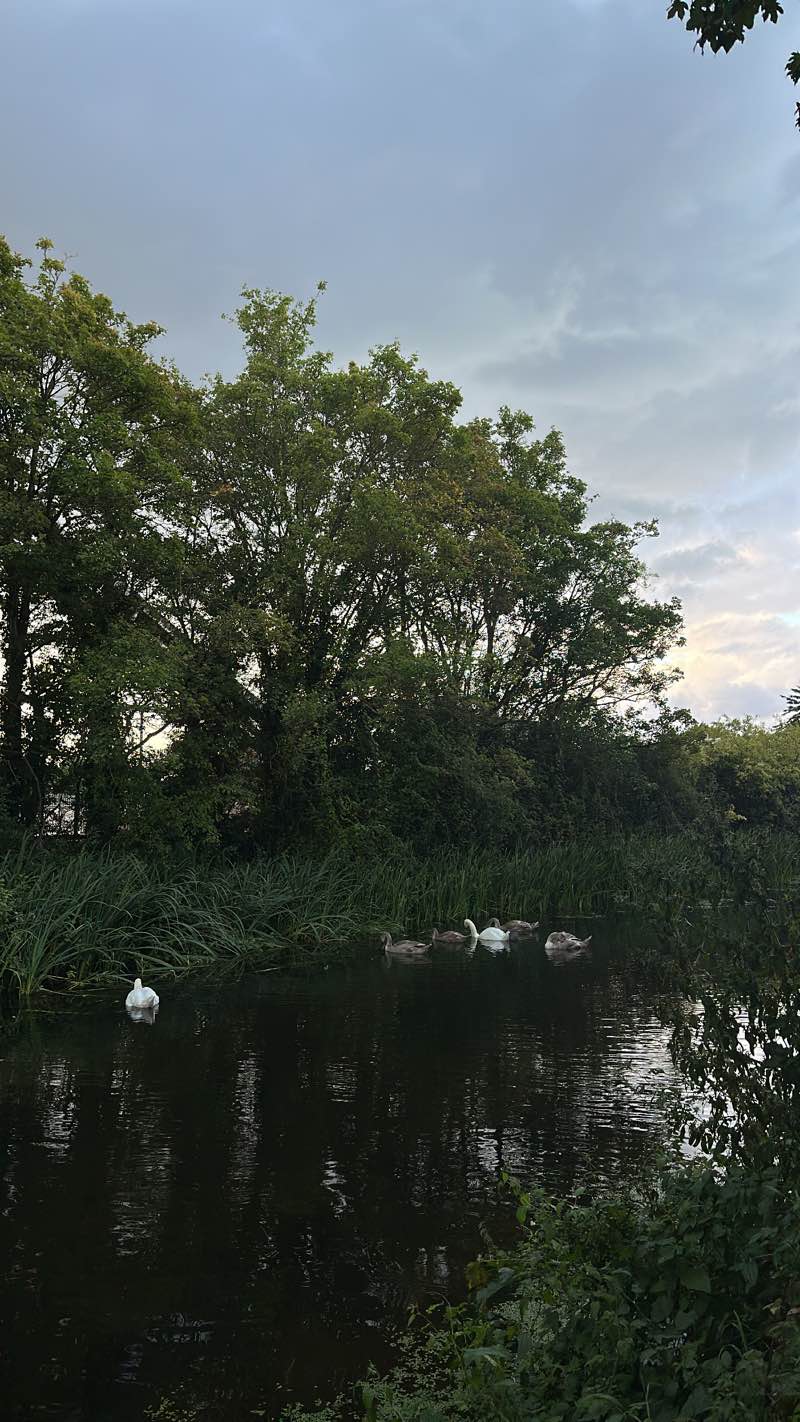 walking near me in Victoria Park in winter