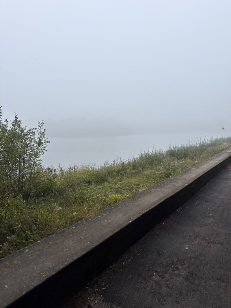 walking near me in Aldenham Country Park in autumn