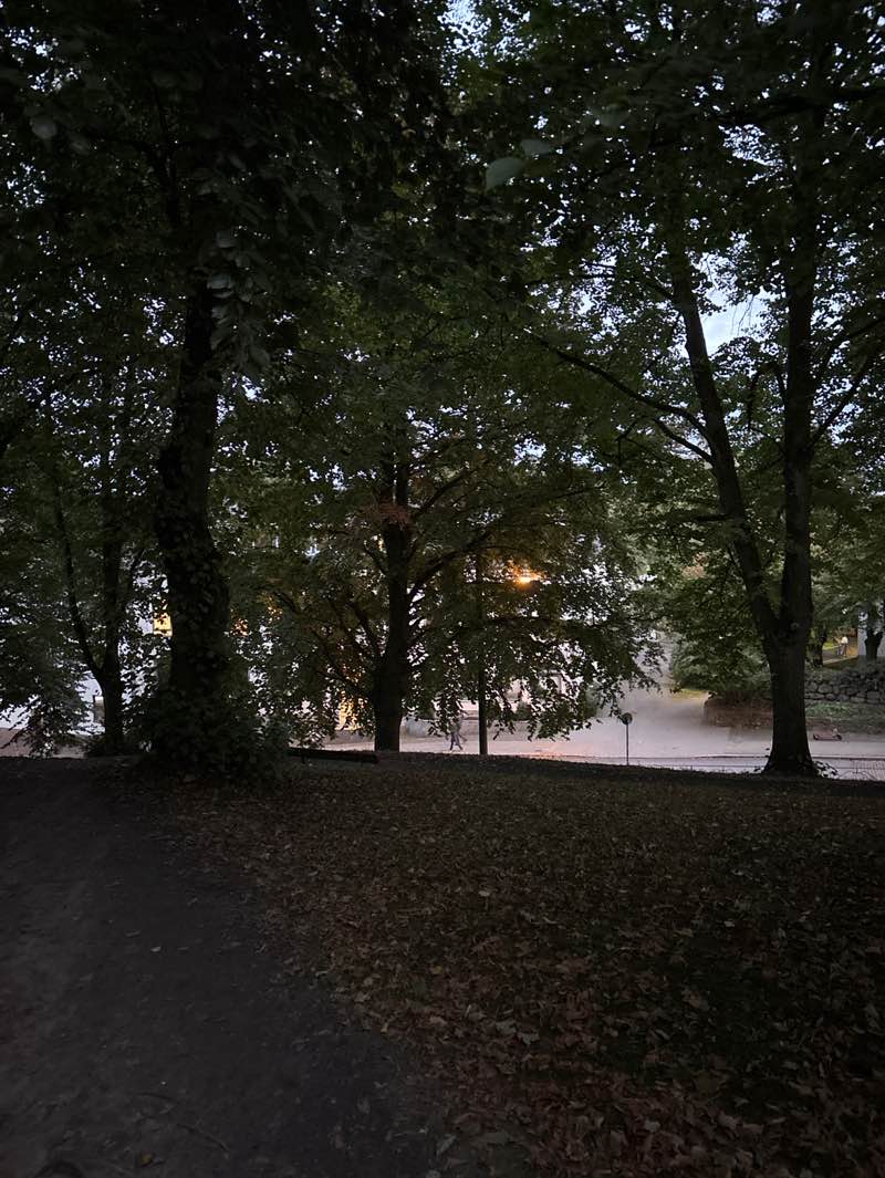 walking near me in Lutherpark in autumn