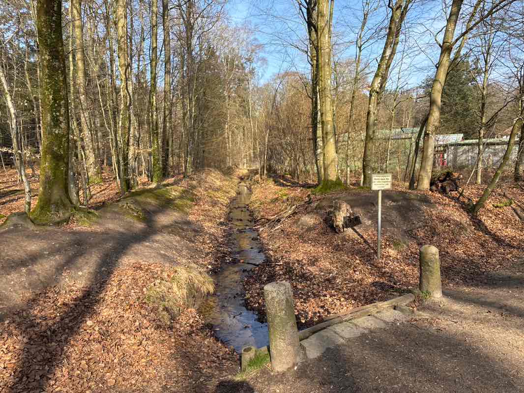 walking near me in Wildgehege in spring