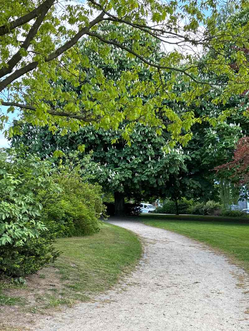walking near me in Sankt-Jürgen-Platz in spring