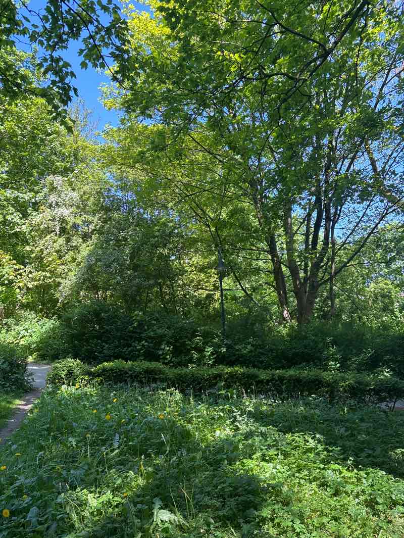 walking near me in Dicker-Willis-Koppel in spring