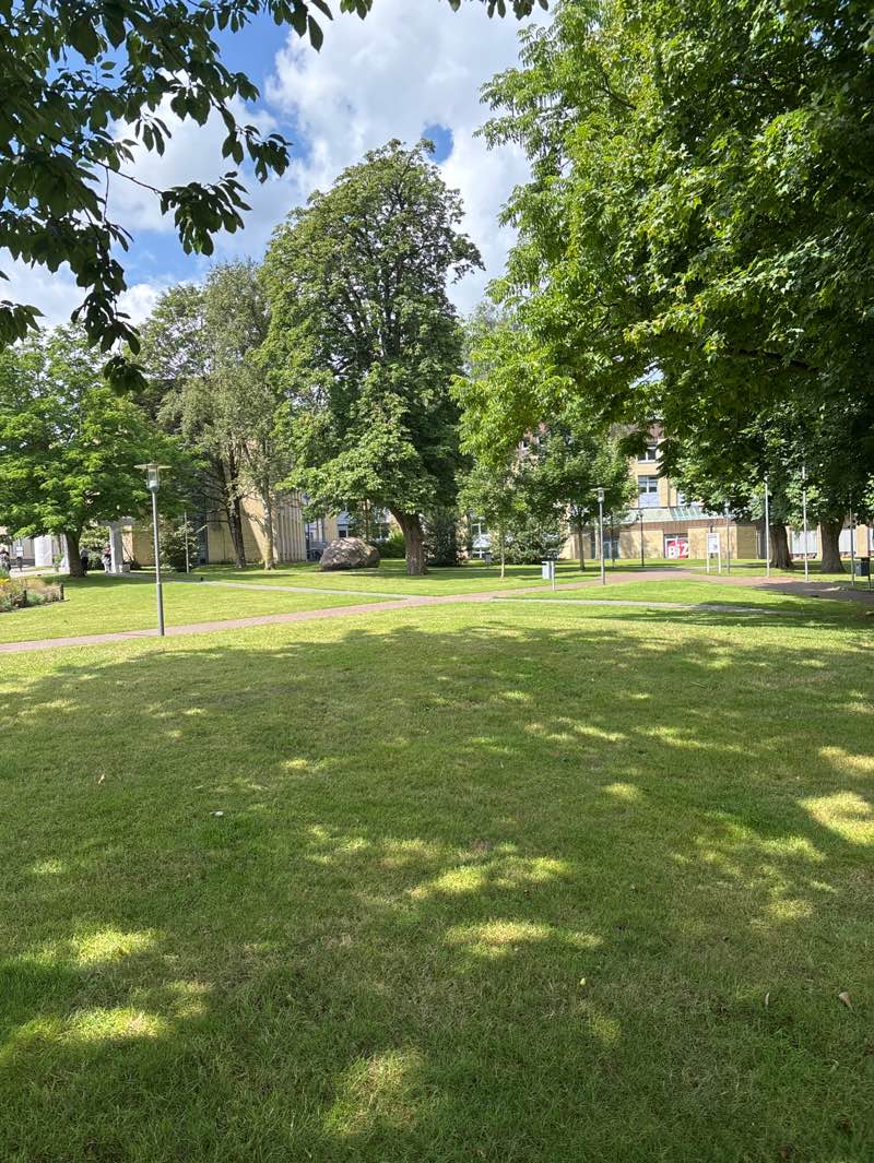 walking near me in Collundtspark in autumn