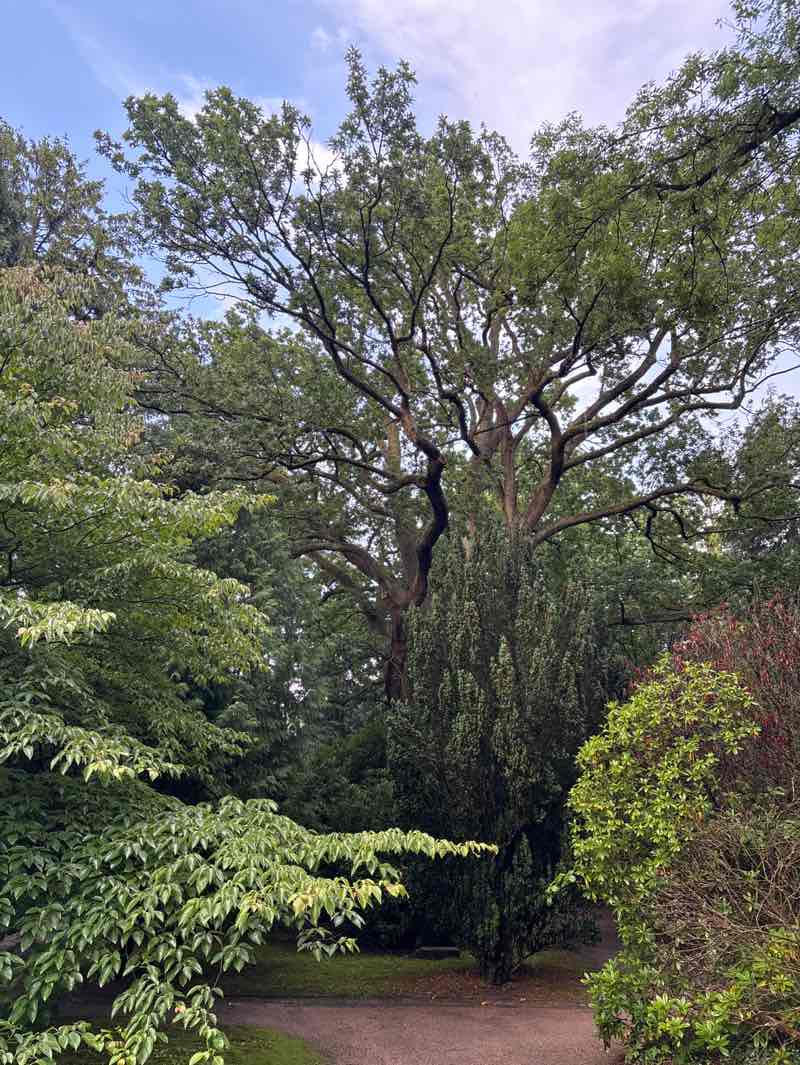 walking near me in Museumsberg in autumn