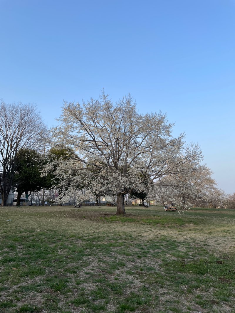 walking near me in Komiya Park in winter