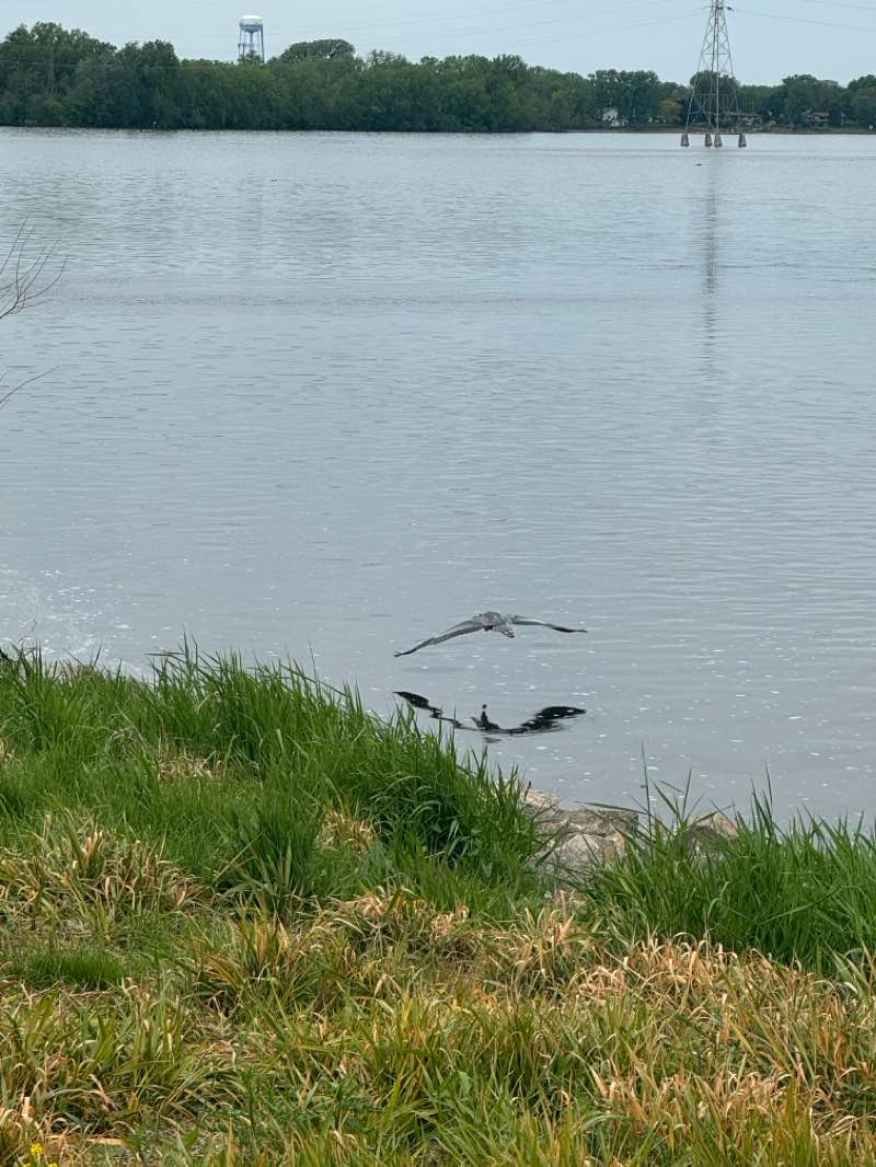 walking near me in Loop the Lake Trail in spring