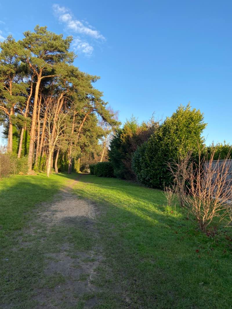 walking near me in Millennium Park in winter