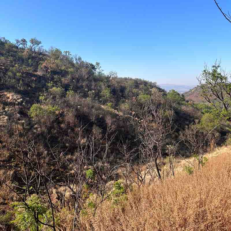 Maureen 🇿🇦🇿🇦 post 2