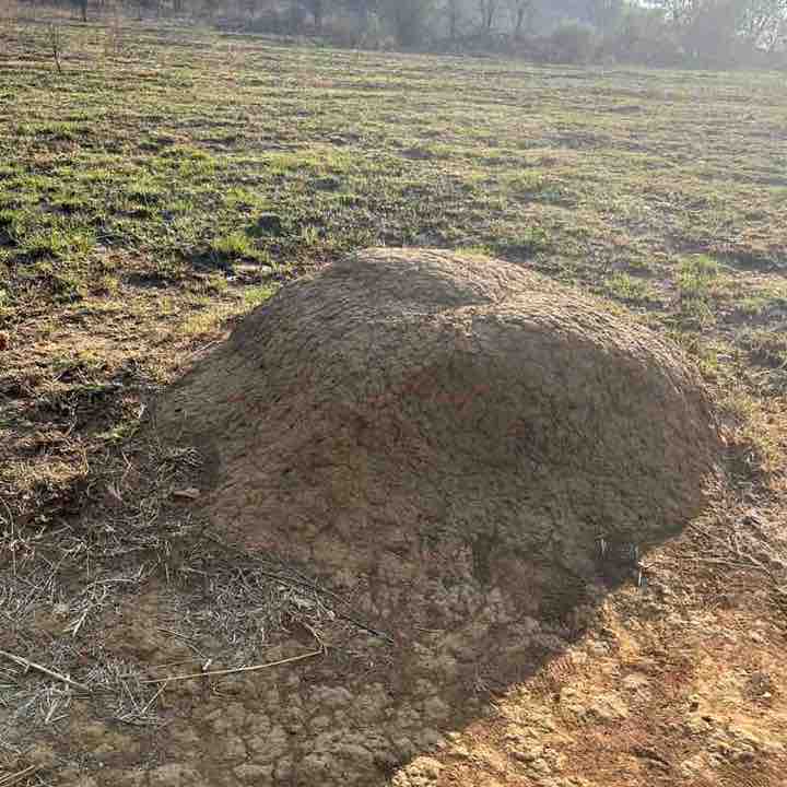 Maureen 🇿🇦🇿🇦 post 3