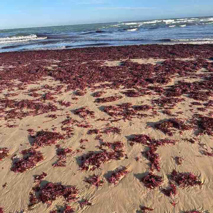 Maureen 🇿🇦🇿🇦 post 1