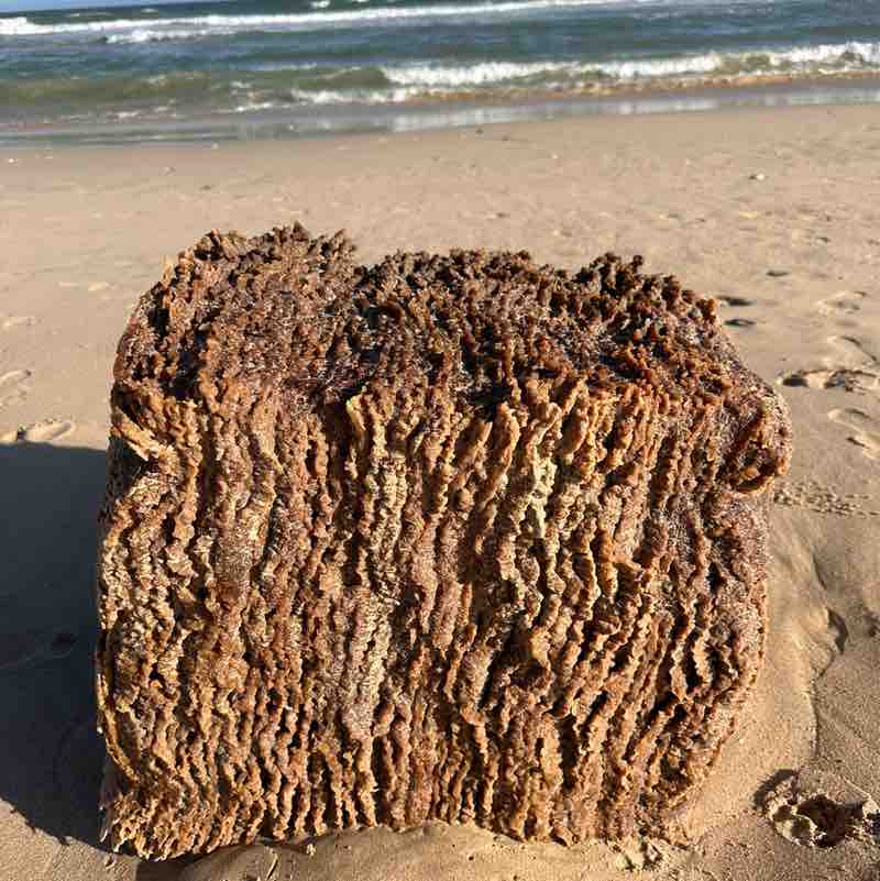 Maureen 🇿🇦🇿🇦 post 2