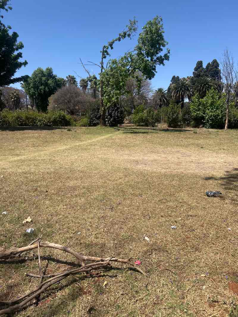 walking near me in Venning Park in spring
