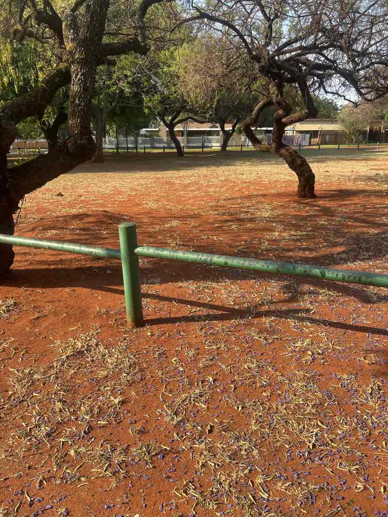 walking near me in Annlin Park in spring