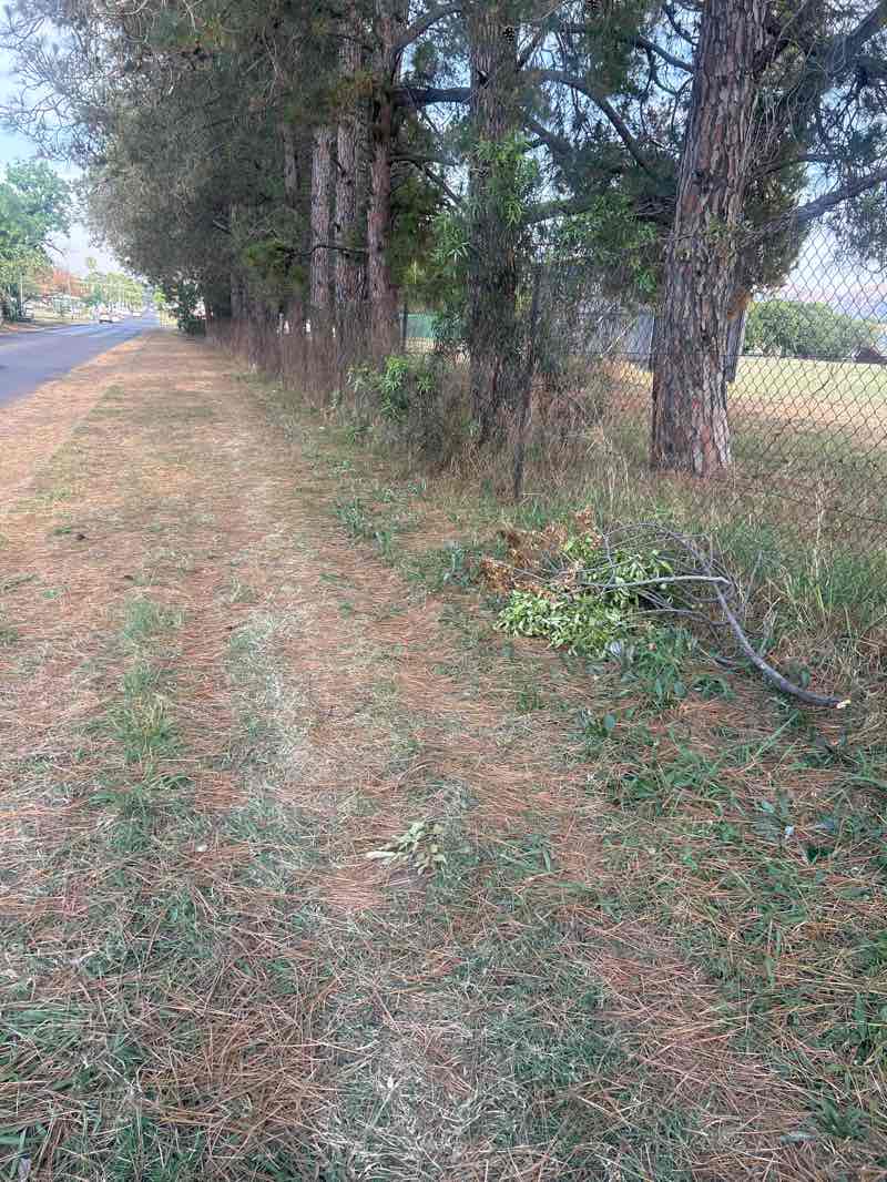 walking near me in Trim Park in spring