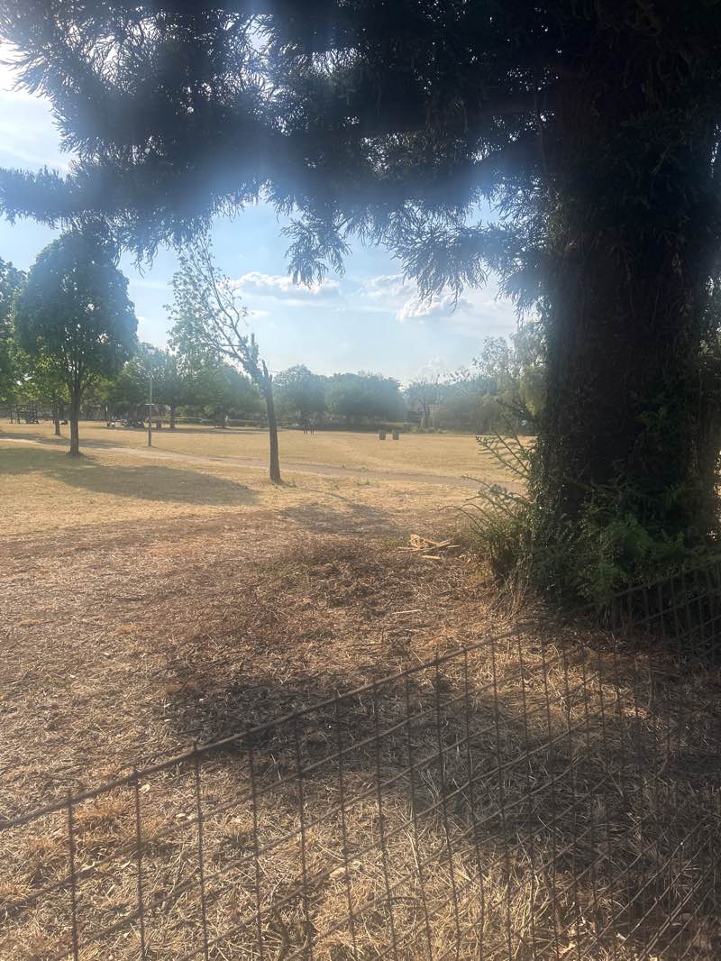 walking near me in Cooper Park in spring