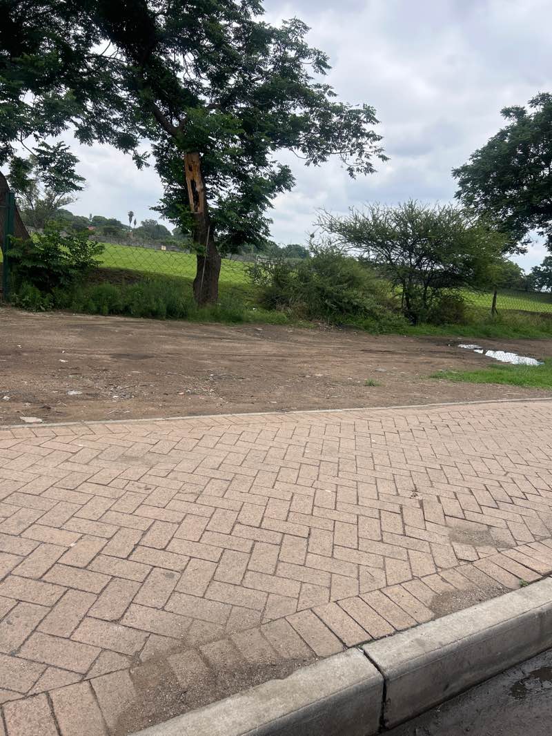 walking near me in Rustenburg North Park in spring