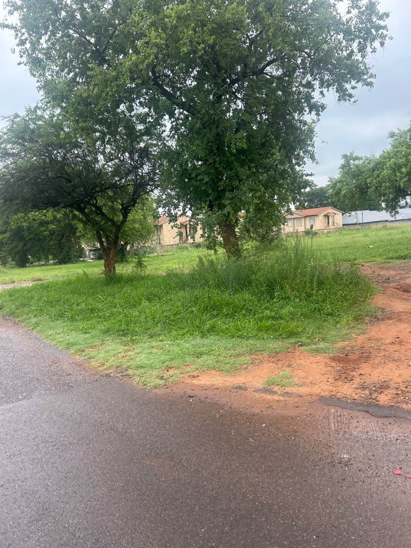 walking near me in Paul Bodenstein Voëltjie Park in spring