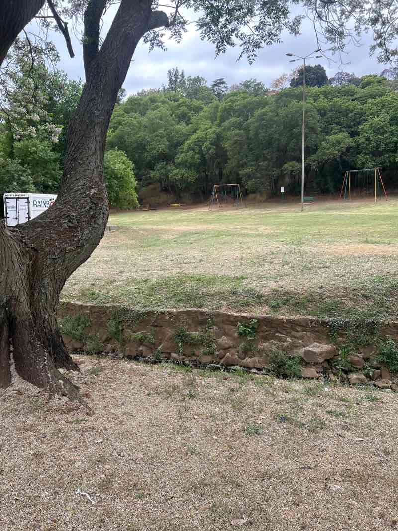 walking near me in Magnolia Dal in spring