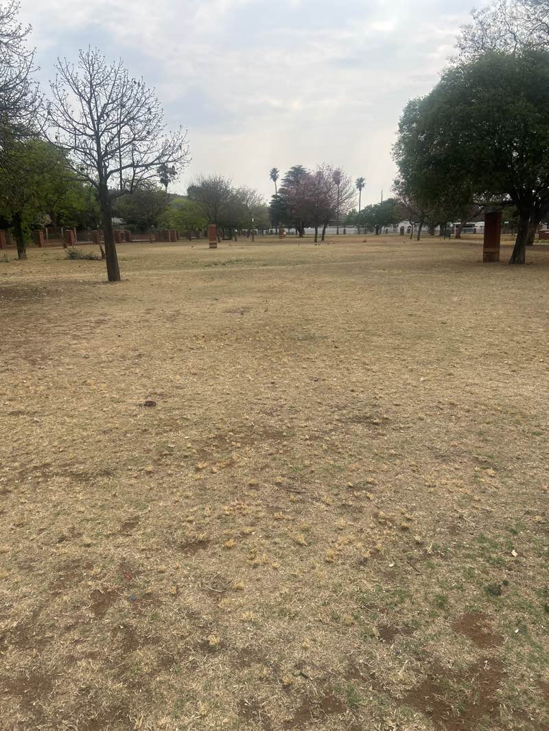 walking near me in West Park in spring