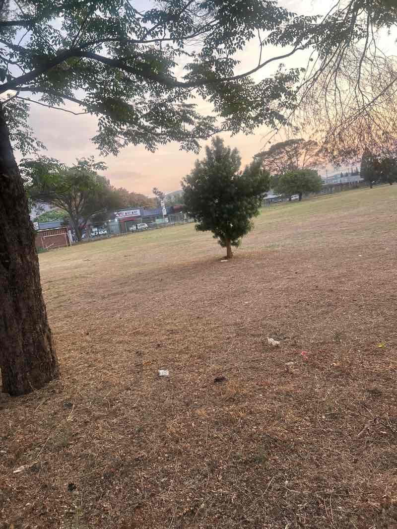 walking near me in Van Riebeeck Park in spring