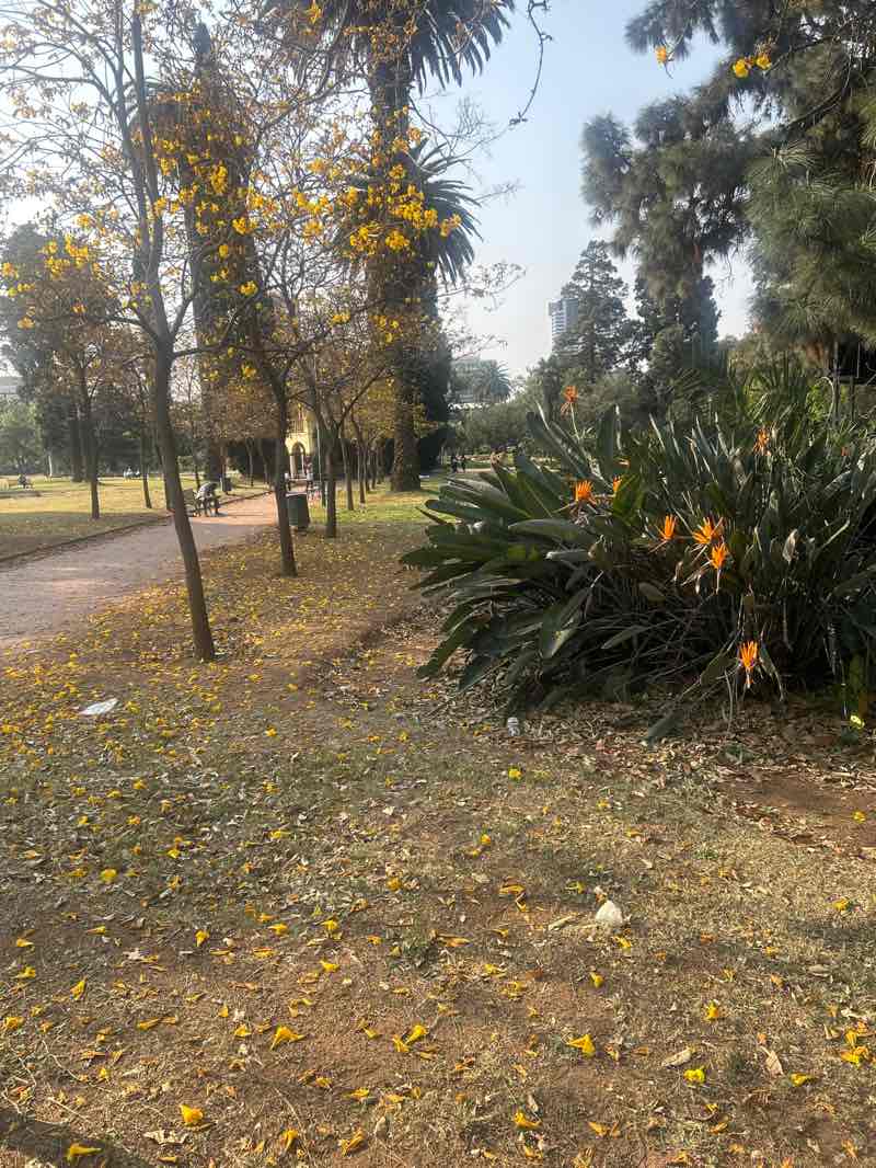 walking near me in Burgers Park in spring