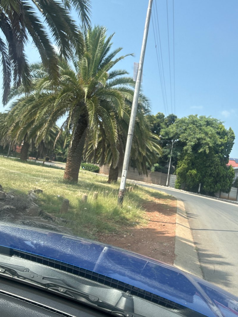 walking near me in Cradock park in summer