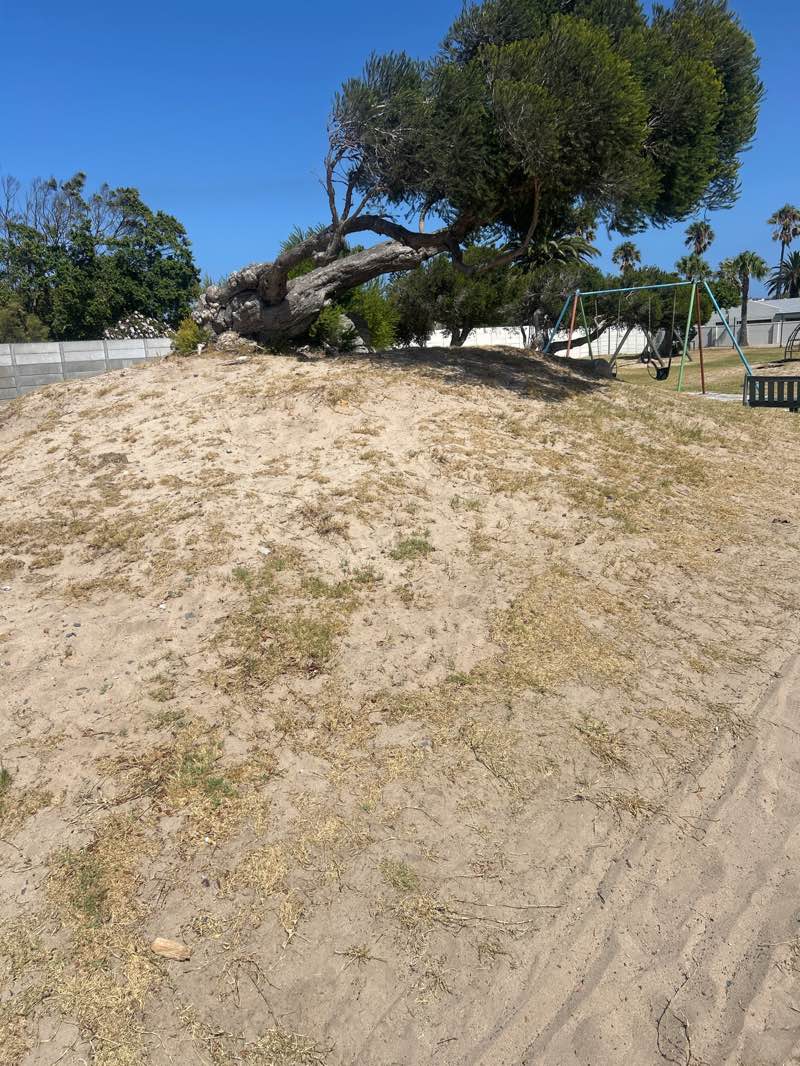 walking near me in Porterfield Road Park in summer