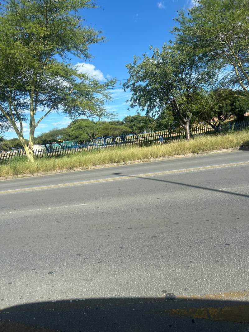 walking near me in Polokwane art park in summer