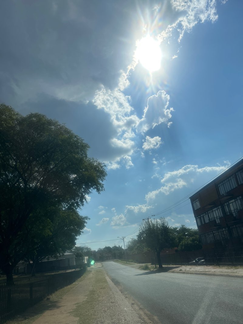 walking near me in Jet Street Park in summer