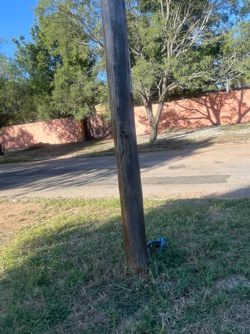 walking near me in Van Zyl Park in summer