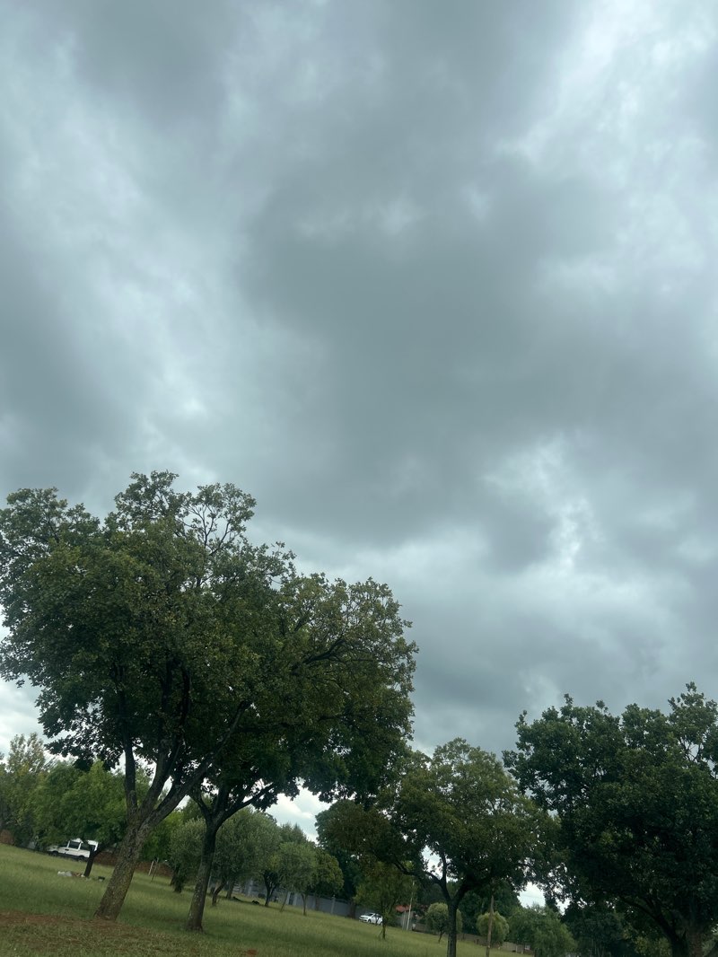 walking near me in Trichardt Road Park in summer