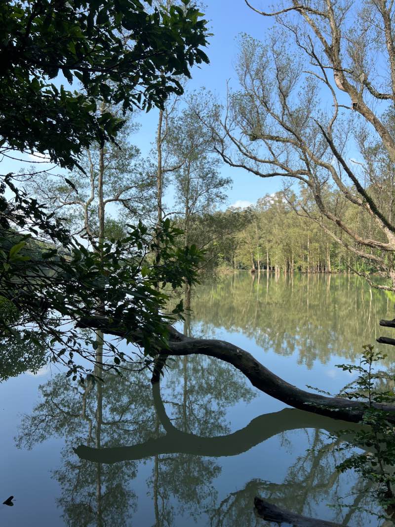 walking near me in Shek Yam Lei Muk Road Park in winter