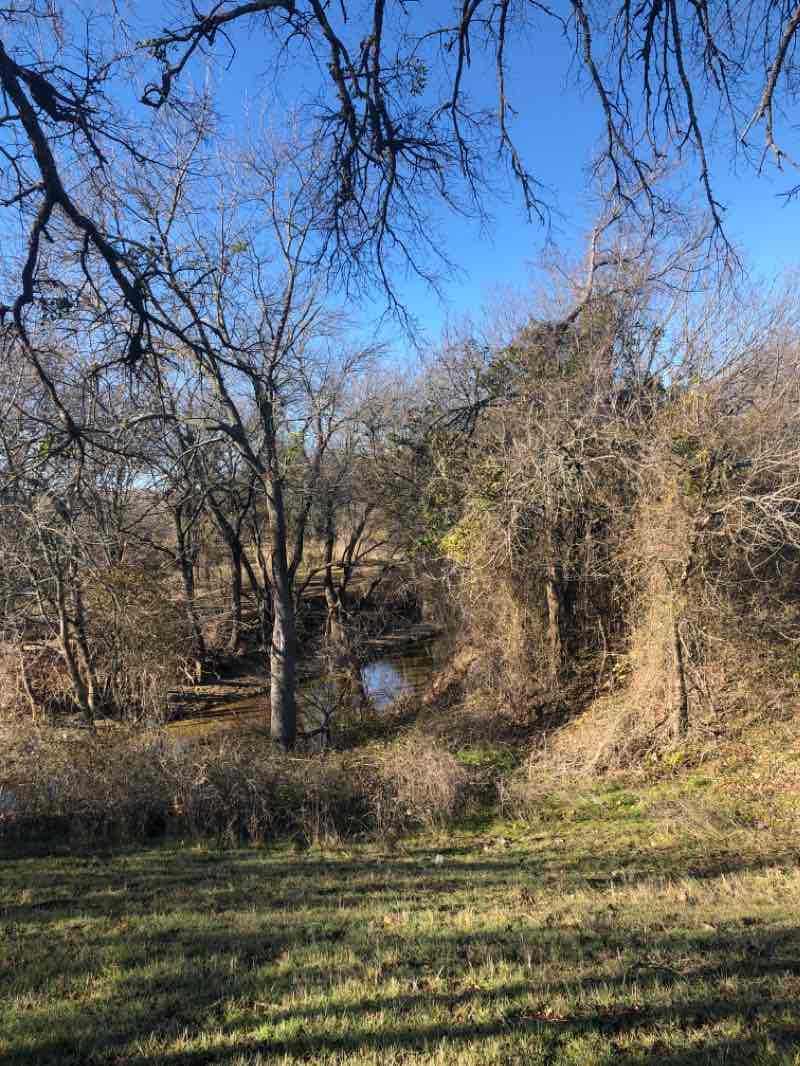 walking near me in Dutch Branch Park in winter