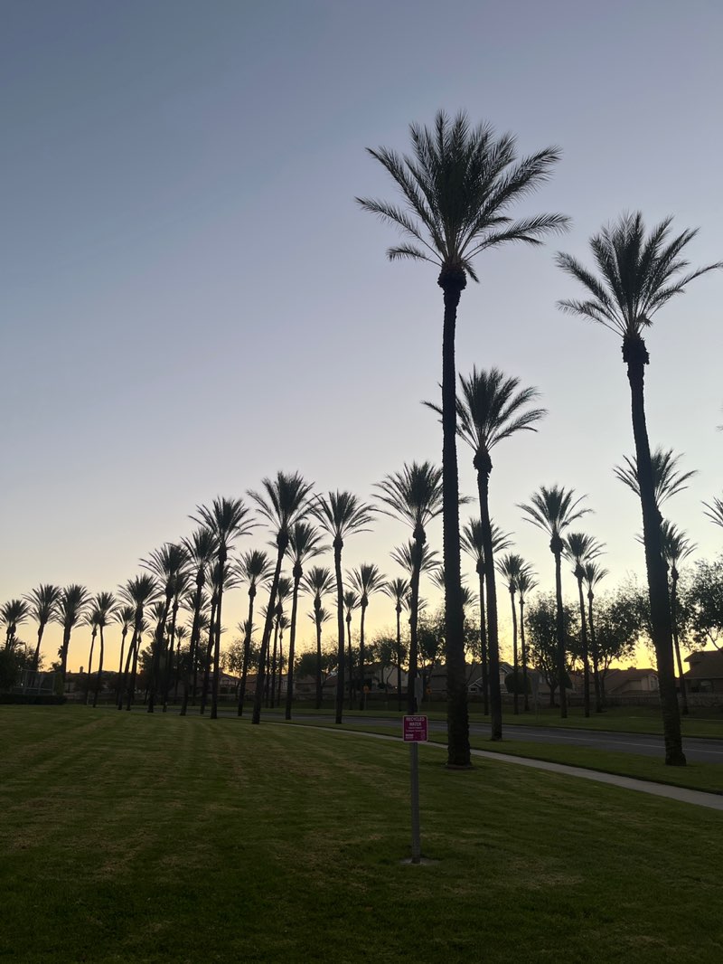 walking near me in McDermott Park in winter