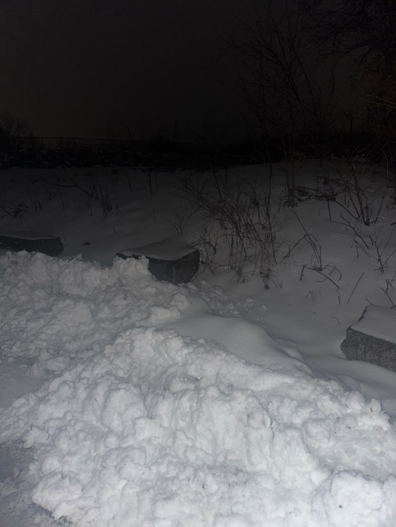 walking near me in Gonsalves Park in winter