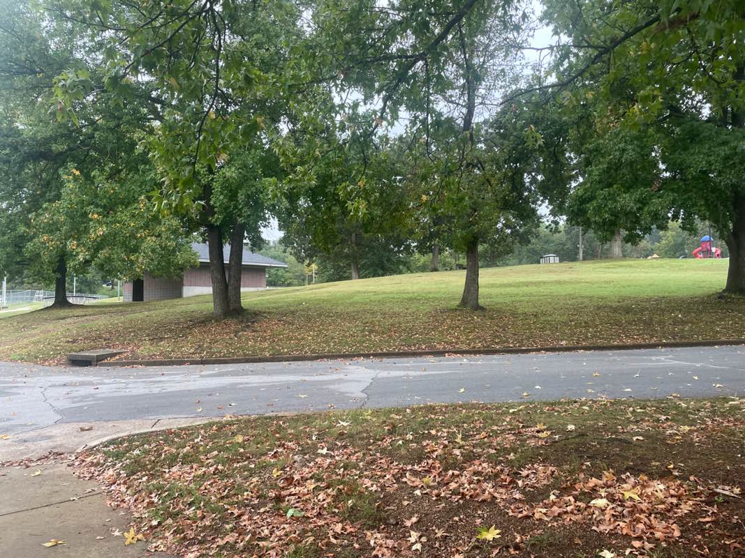 walking near me in People's Park in autumn
