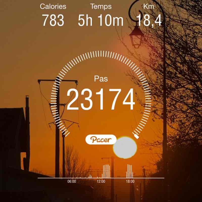 Cécile 🍀🌼🍀 post 1