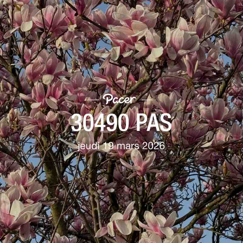 Cécile 🍀🌼🍀 post 1