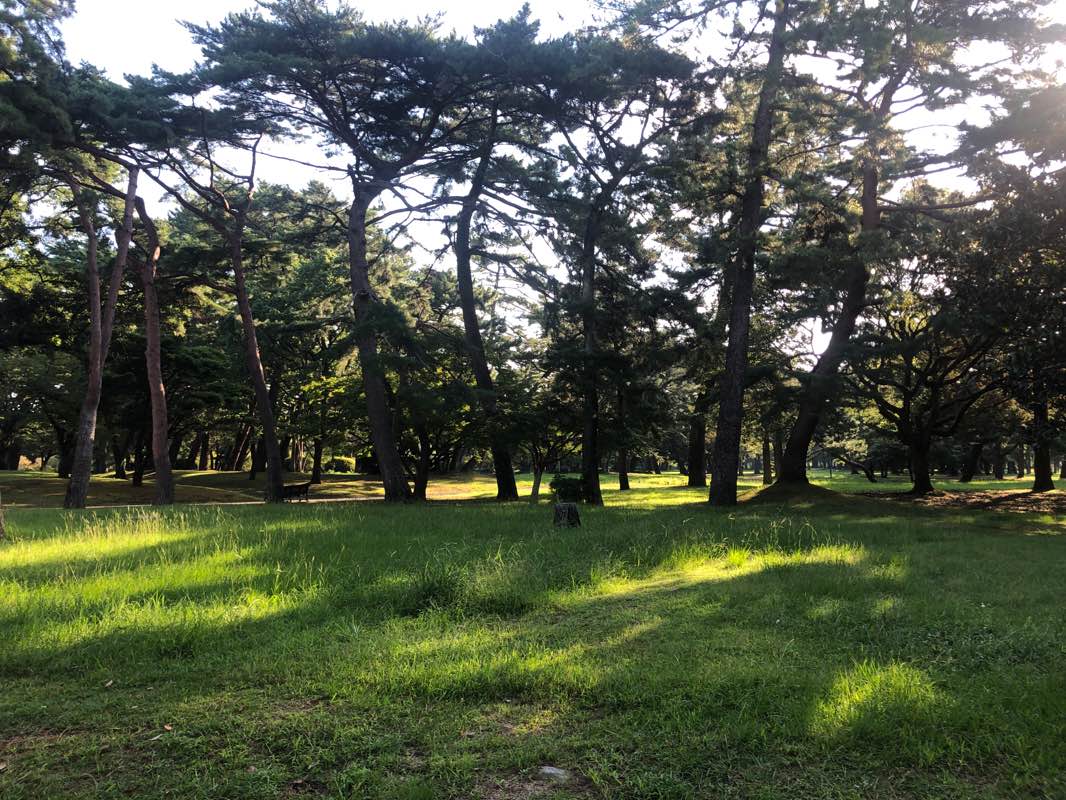 walking near me in Beppu Park in winter